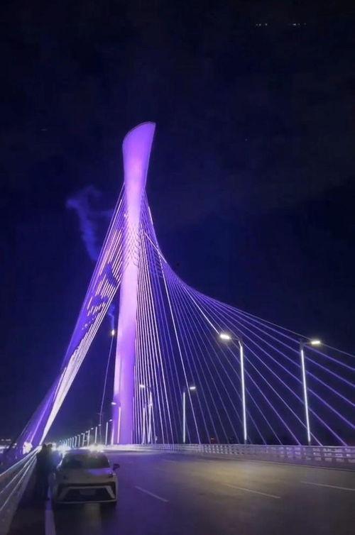 石家庄大桥爆料视频大全,揭秘桥梁建设背后的故事