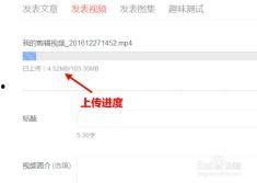 今日头条视频模糊,探寻模糊背后的故事与真相