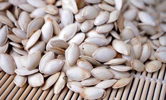 胃病可以吃瓜马肉吗,胃病患者适宜食用瓜马肉吗？营养与健康的探讨