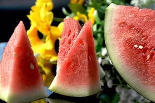 日本人吃半个瓜,探寻日本人的独特饮食习惯