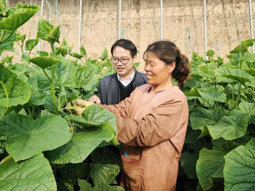 伊犁吃瓜新闻事件真相是真的吗,事实与谣言的辨析