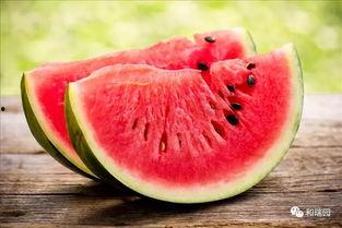 解暑吃瓜,尽享清凉瓜果盛宴