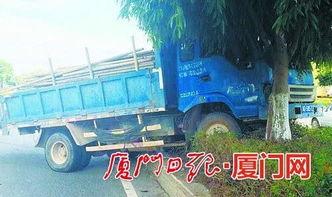 洋县农用车新闻头条