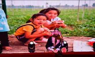 鄄城最新吃瓜,揭秘背后真相，网友热议不断