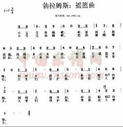 网红版十二生肖歌歌词,趣味横生，生肖文化新演绎